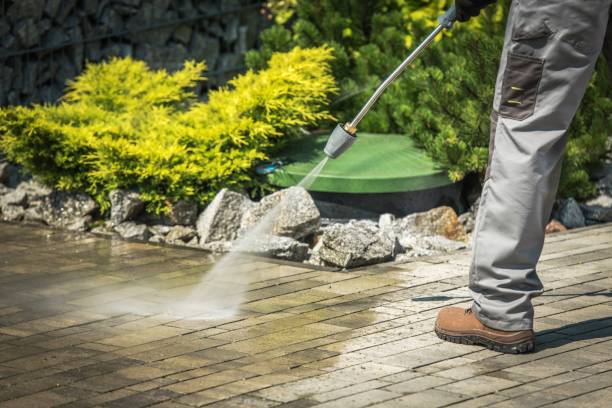 Best Spring Cleaning  in Lackawanna, NY