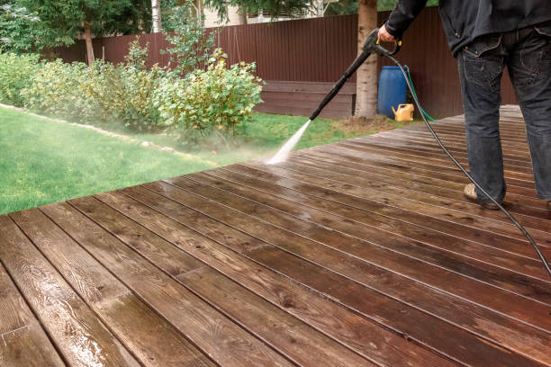 Best Soft Washing  in Lackawanna, NY
