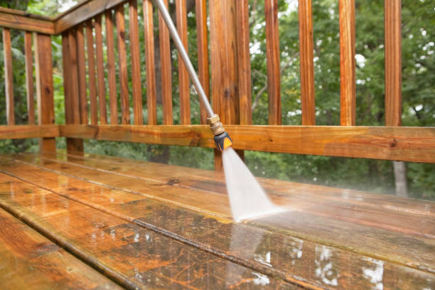 Best Driveway Pressure Washing  in Lackawanna, NY